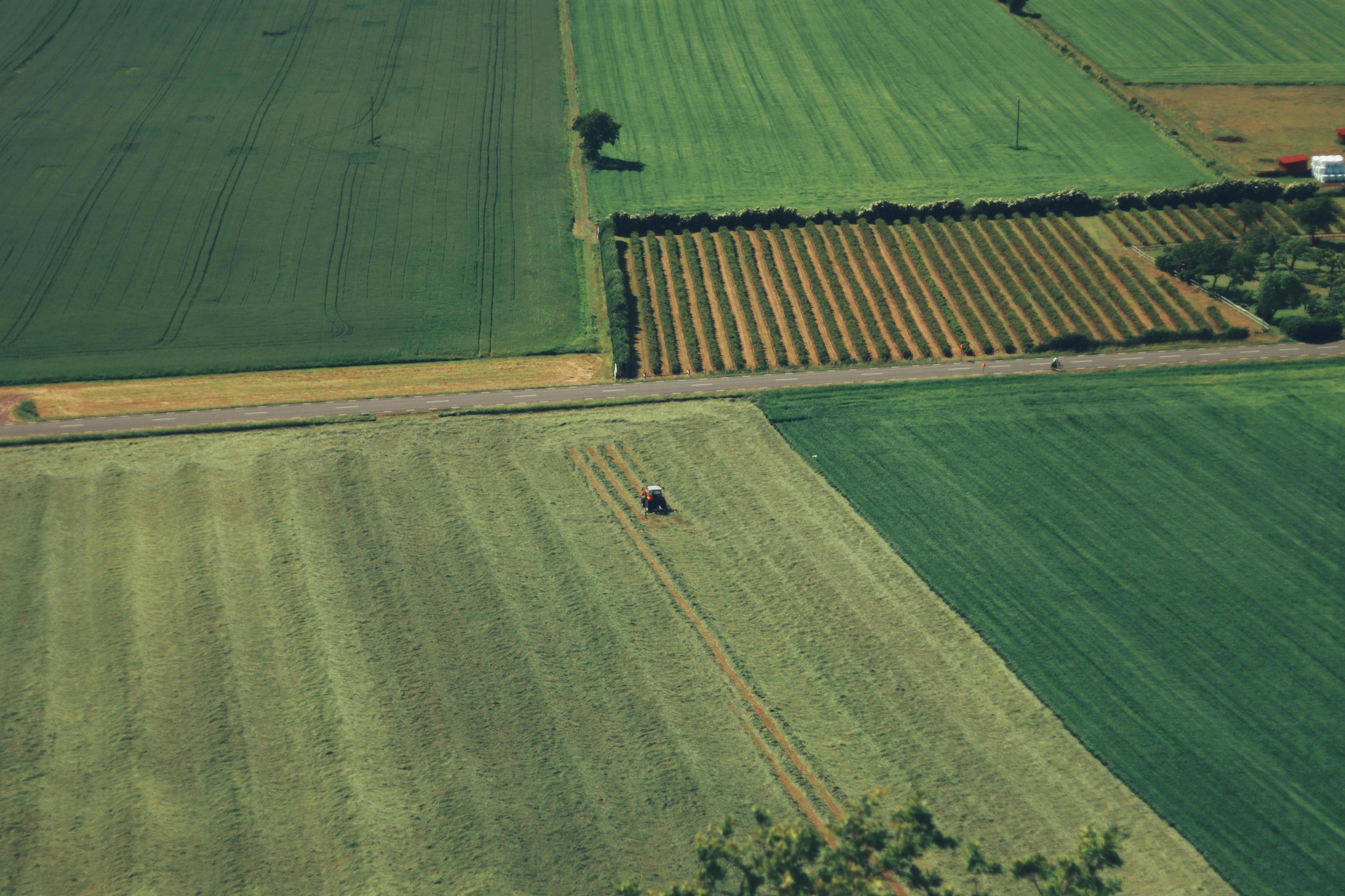 Landwirtschaftliche Felder